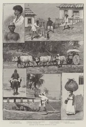 Sketches in the Northern Provinces of Brazil